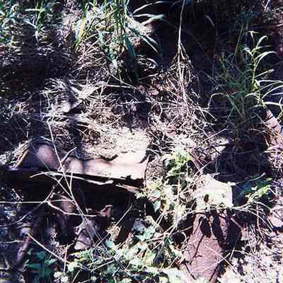 Unidentified metal implement or vehicle