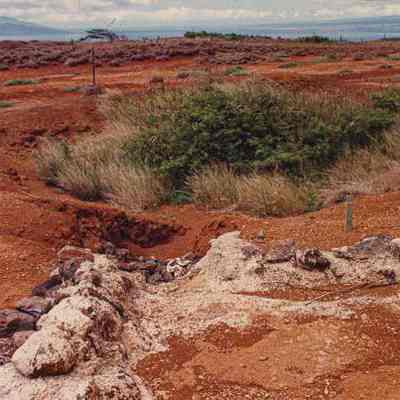 Runoff catchment
