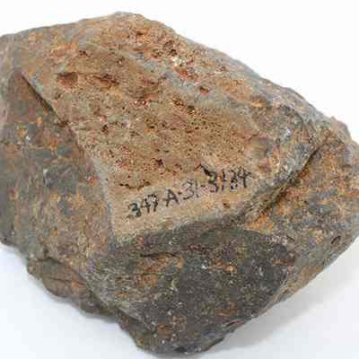 Closeup of bsaalt hammerstone or core with visible alternate id number: The image shows a rough, irregularly shaped rock with a brown and gray surface. It features visible inscription in black, reading "347 A31-3134."