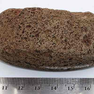 Upright 'ulu maika fragment with a ruler: The image depicts a part of a porous, brown volcanic rock disc with a rough texture, placed on a white background, next to a ruler indicating its size.