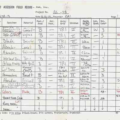 Page 2 of Artifact Accession Field Record for Site 378B: The image shows an artifact accession field record with details on various specimens, including accession numbers, materials, features, locations, depths, and recovery codes.