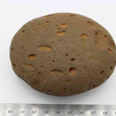 Closeup of worked cobble stone with ruler: The image shows a weathered cobblestone with pitted surface, placed against a white background and adjacent to a metal ruler for scale.