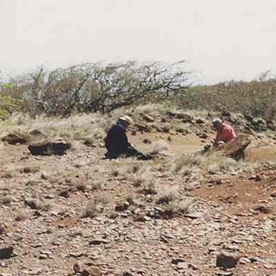 Two people sitting in a possible archaeological site