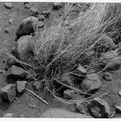 Site 110AO #28