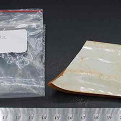 Crockery-rim sherd