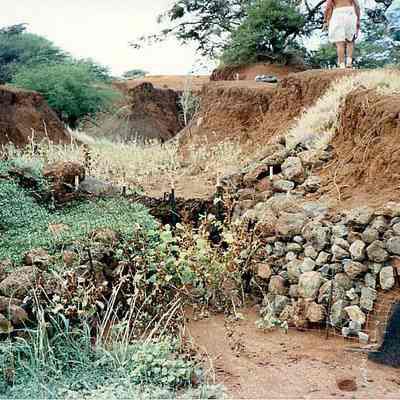 Check dam with wire fencing