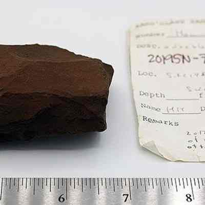 Adze fragment with artifact slip: Origsize: 2.75  in (L); Origformat: Artifact; Resolution: 200 dpi