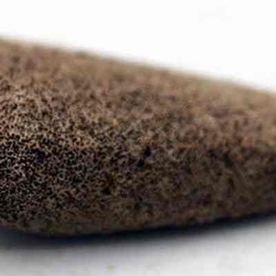 Closeup profile of coral abrader: The image shows a close-up of a brown, textured, sponge-like object with a tapered shape, resting on a light surface.
