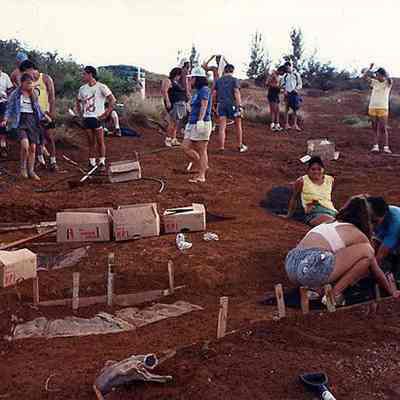 Planting