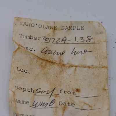 Artifact slip for cowrie shell lure: A weathered artifact slip displays a sample number, description, and depth information, marked with stains and handwriting.