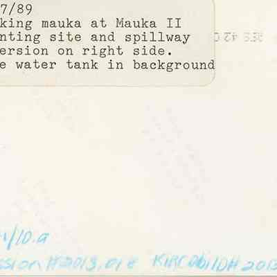 Typed text in back of object ID #2013.018.110_b: Origsize: 4" x 6"; Origformat: Print-Photographic; Resolution: 150 dpi