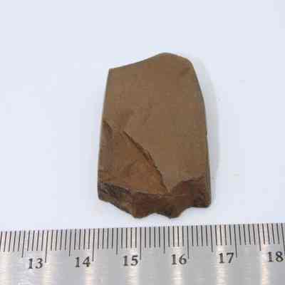Lengthwise view of polished flake: The image shows a polished flake of stone, placed above a metal ruler.