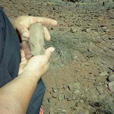 Potential lithic artifact