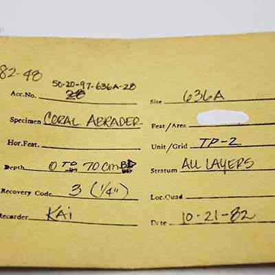 Artifact envelope for coral abrader: The image displays a handwritten archaeological record envelope noting specimen, site, depth, and date. It lists a coral abrader found at site 636A.