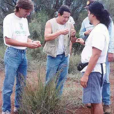 Four men examining grass seeds: Origsize: 6" x 4"; Origformat: Print-Photographic; Resolution: 200 dpi