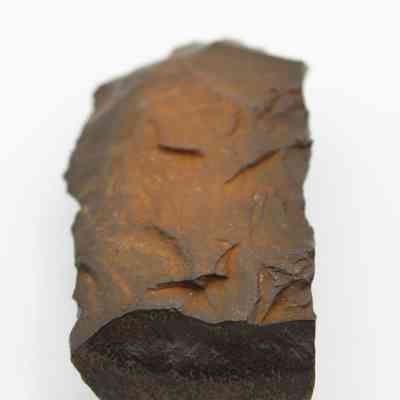 Lengthwise of adze blank fragment: In the image, the adze blank fragment appears rugged and roughly carved, showcasing a dark, textured surface with hints of reddish-brown.