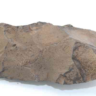 Profile of adze blank fragment: The image shows an adze blank fragment, displaying a roughly shaped stone with uneven surfaces and a brownish hue.