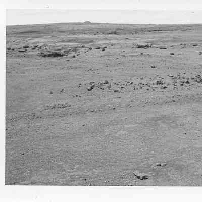 Site 110AL #22
