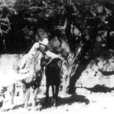 Antone Freitas pushing horse