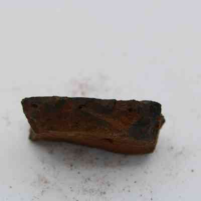 Profile of basaltic glass core: The image shows a piece of basaltic glass core with a rough, irregular surface, featuring dark and reddish hues on a white background.