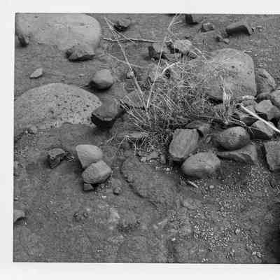 Site 110 AO #29