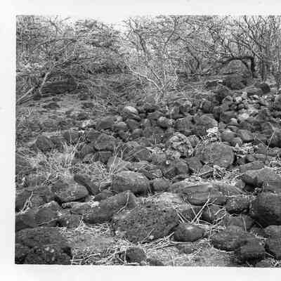 Site 358B_C #10
