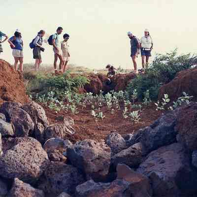 Pohinahina-Mauka II checkdam site
