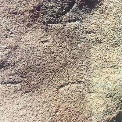 Single Petroglyph