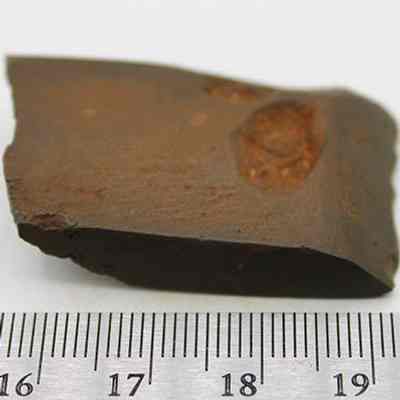 Basalt adze fragment with ruler: The image shows a brown stone fragment, likely from an ancient adze, resting on a surface next to a metric ruler for scale.