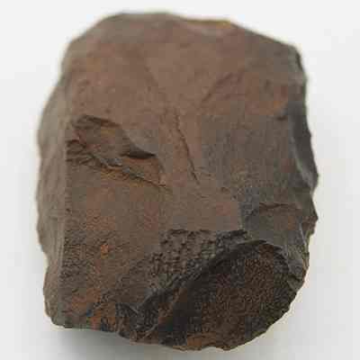 Closeup of a basalt adze blank: The image depicts a rough, dark brown stone with jagged edges and a matte texture.