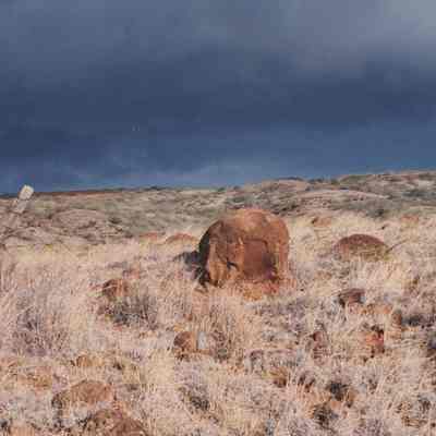 Ranch fence post at Kuheia upland
