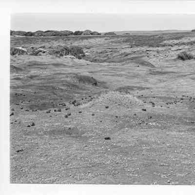 Site 110C #36A
