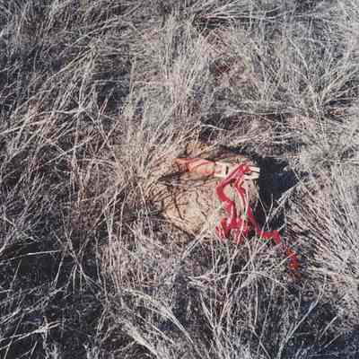 UXO marked with red flag