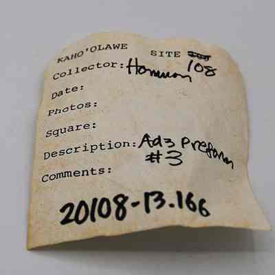 Artifact slip for adze preform #3: Origsize: 11.5 cm (L); Origformat: Artifact; Resolution: 200 dpi