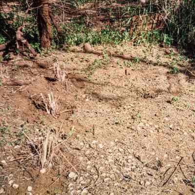 Fallow ground