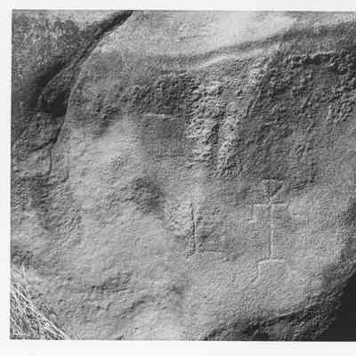 Site 110AP #31