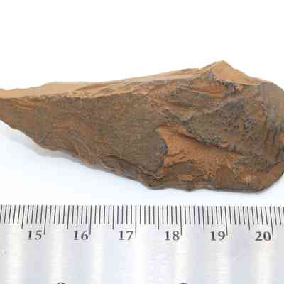 Closeup of possible auger with ruler: The image shows a pointed, textured brown stone tool resembling an ancient auger, lying next to a detailed measuring scale.