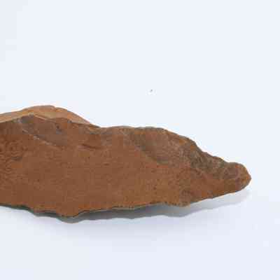 Profile of a possible auger: The image displays a brown rock resembling a tool, possibly used as an auger, with a rough, pointed edge and irregular surface.