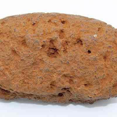 Closeup of basalt net sinker: The image displays the profile of a reddish-brown porous rock sinker with a rough, textured surface, shown against a plain white background, highlighting the