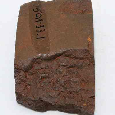 Lengthwise view of adze fragment with alternate id number visible: Original size: 2.45 x 4.05 cm; Original format: Artifact; Resolution: 200 dpi