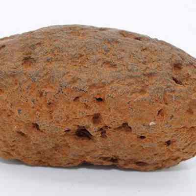 Closeup profile of basalt net sinker: The image shows a rough, irregularly shaped, brown rock sinker  on a plain white background, featuring a porous and textured surface.
