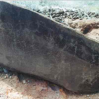 Many petroglylphs on one stone