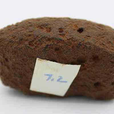 Closeup profile of net sinker with visible alternate id number: The image shows a rough, brown, porous rock sinker with a small white label attached, displaying the number "7.2" handwritten on it.
