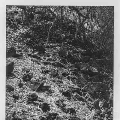 Site 638E #17