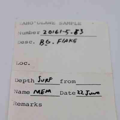 Artifact slip for basaltic glass flake: The artifact slip details a sample labeled “BG. Flake,” collected on June 22, with depth indicated as “Surf.”