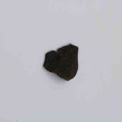 Closeup of basaltic glass flake: The image shows a small, dark basaltic glass flake with uneven surfaces, lying against a plain white background, highlighting its rough texture.
