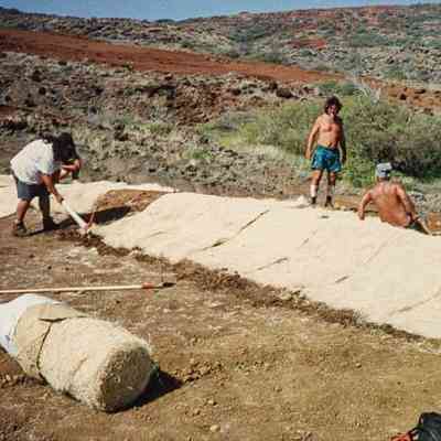 Four people working on hardpan terrain