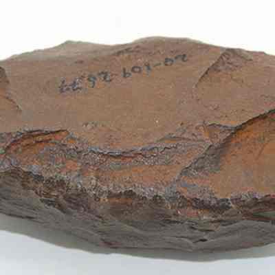 Closeup of basalt adze blank with alternate id number visible: Origsize: 7.95 cm (l0; Origformat: Artifact; Resolution: 200 dpi