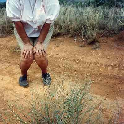 Unidentified kupuna looking at grass