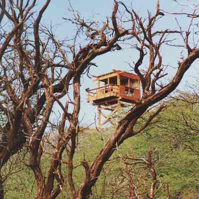 Eagle Tower through trees